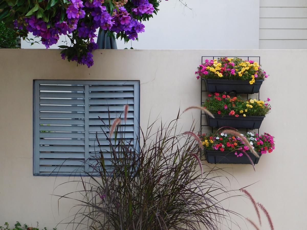 Beachport Bed & Breakfast Port Macquarie Buitenkant foto